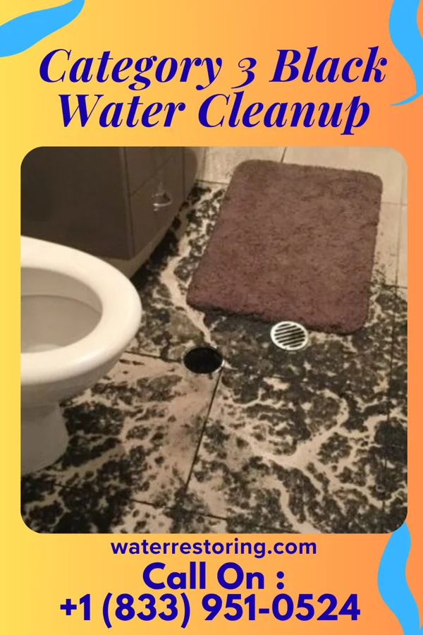 Category 3 Black Water Cleanup in Prairie du Rocher, IL